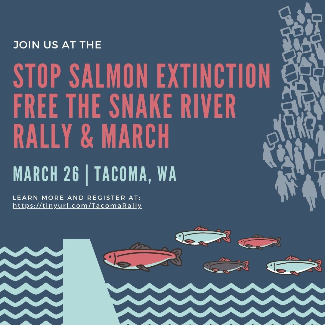 2022 03 26 Stop Salmon Extinction Rally & March in Tacoma
