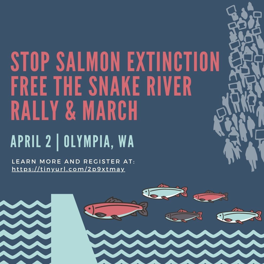 2022 04 02 Stop Salmon Extinction Rally & March in Olympia