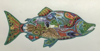 Sue Coccia: Sockeye