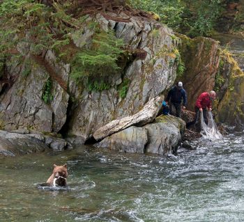 Amy Gulick: Catch of the Day