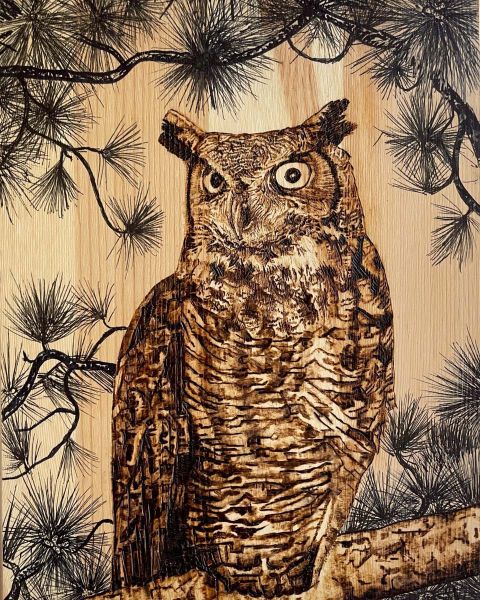 taelyn baiza great horned owlx1200 taelyn baiza great horned owlx1200