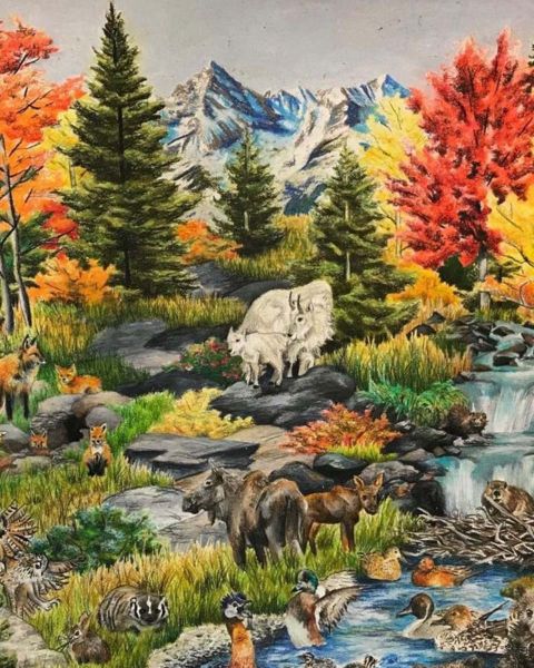 taelyn baiza rocky mountain wildlifex1200 taelyn baiza rocky mountain wildlifex1200