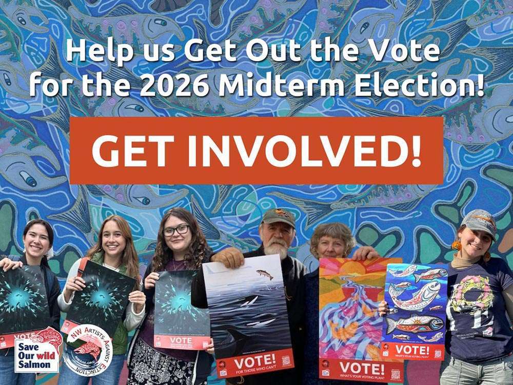 Get Out the Vote